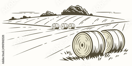 A stack of hay bales in a field Vector