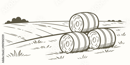 Three hay bales sitting in a field Vector