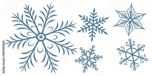 A group of blue snowflakes on a white background Vector