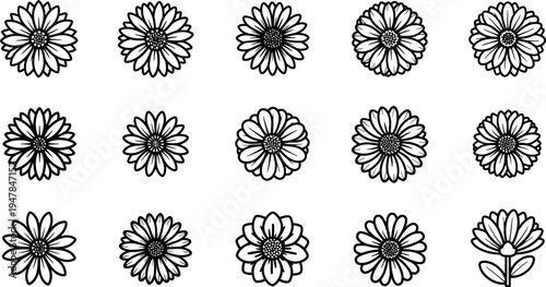 Black and white daisy flower daisies flowers 1 line white background flower simple flowers