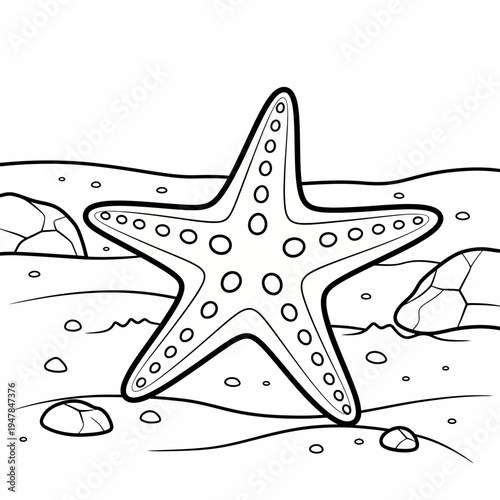 A starfish sitting on the sand