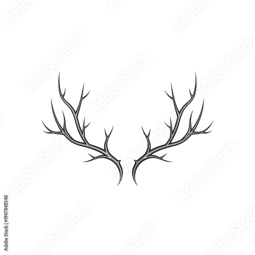 A pair of deer antlers illustration.