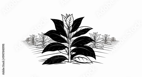 Stylized illustration of a prominent tobacco plant in a field
