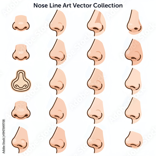 Nose Line Art Illustration, Human Nose Anatomy Sketch, Nasal Structure Outline Drawing, Minimal Medical Vector Design
