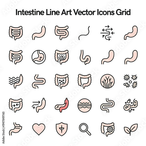 Intestine Line Art Illustration, Human Digestive System Sketch, Intestinal Tract Outline Drawing, Medical Anatomy Vector Design