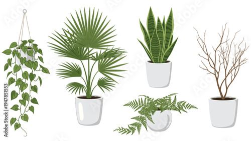 Diverse collection of potted indoor plants including hanging vines, palms, snake plant, fern, and a leafless decorative tree.