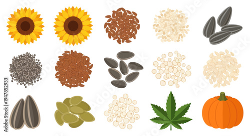 Assortment of Healthy Seeds and Produce: Sunflower, Pumpkin, Flax, Sesame, Hemp, and Sunflower Heads