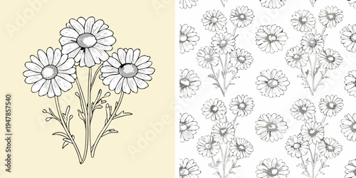 Floral design featuring sketched daisies in a pattern and bouquet