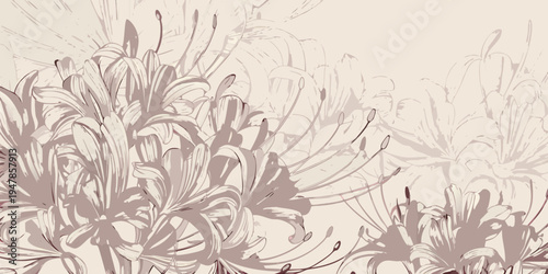 Elegant floral illustration of spider lilies in a neutral color palette