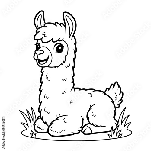 A cute llama sitting on the ground