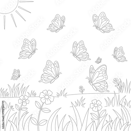 Butterflies and flowers in a sunny meadow