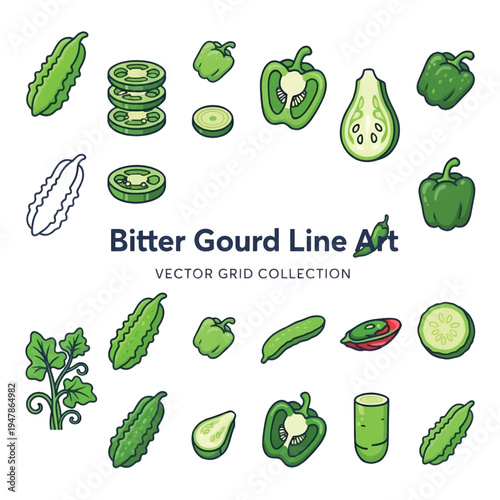 Bitter Gourd Vegetable Vector Illustration, Fresh Green Karela, Healthy Food Icon