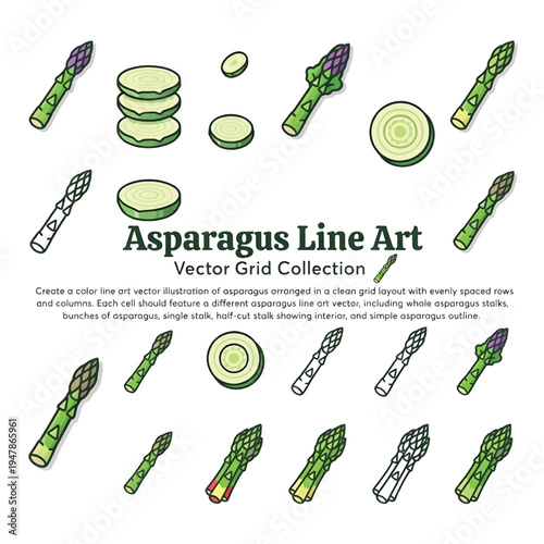 Asparagus Vegetable Vector Illustration, Fresh Green Asparagus Spears, Healthy Food Icon