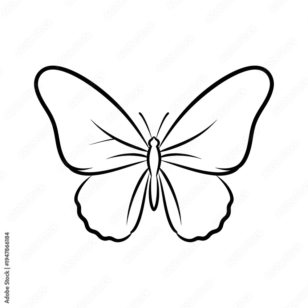 Fototapeta premium Hand-drawn butterfly outline, isolated on white, simple line art, elegant insect graphic
