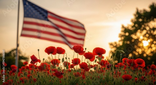 Usa flag day celebration with american flag waving among red poppies