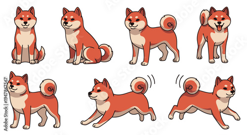 Shiba Inu Dog Poses Collection, Cute Japanese Breed