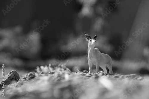Photos black and white miniature figure of an addax, a rare spiral-horned antelope native to the Sahara Desert
