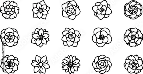 Black and white line of various succulent plants succulents flowers 1 line black and white