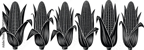 Corn Cob Silhouette Collection with Maize Ears and Husk Leaves Isolated Vector Set for Agriculture Graphics, Farm Harvest Designs, Organic Food Packaging, and Botanical Illustrations