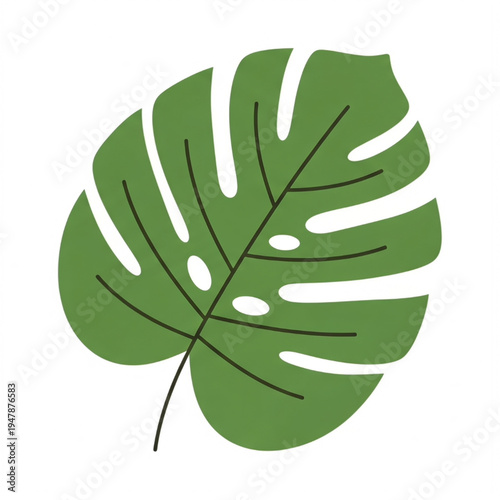 Monstera tropical leaf flat vector icon green botanical plant illustration