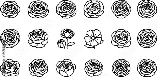 Black line of roses on white background black and white line floral flowers