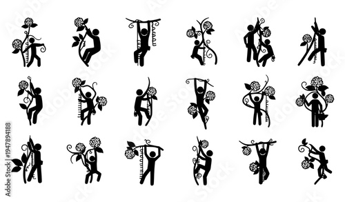 Stick figure climbing hydrangea creeper plant silhouettes botanical vine climbing icon collection