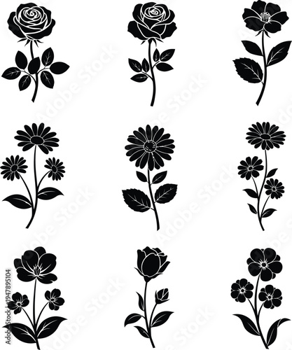 Black silhouette floral collection of roses and daisies on white background flower daisy