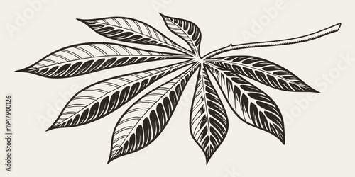 A black and white drawing of a cannabis leaf Vector