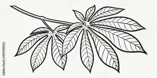 A drawing of a leafy branch with multiple pointed leaves Vector