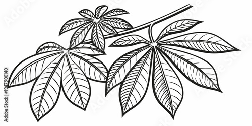 A drawing of a branch with several leaves Vector