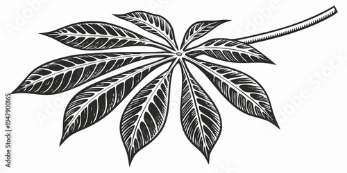 A black and white drawing of a cannabis leaf Vector