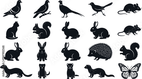 black silhouette set pigeon pheasant magpie mouse cat squirrel rabbit hedgehog weasel ferret mink butterfly wildlife animal icon vector collection