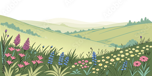 A field of colorful flowers on a sunny day Vector