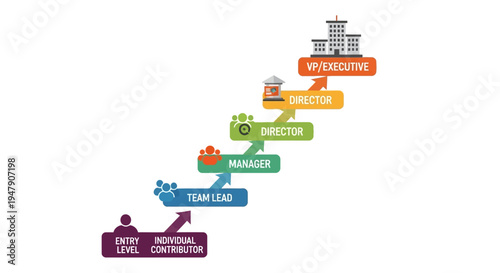 Illustration of a corporate hierarchy ladder showing career progression from entry level to executive positions.