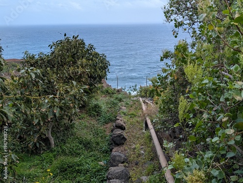 Hiking trail near Agulo with scenic ocean view and lush greenery, La Gomera, Canary Islands