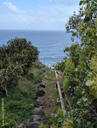 Hiking trail near Agulo with scenic ocean view and lush greenery, La Gomera, Canary Islands