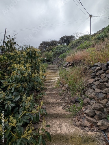 Hiking trail near Agulo with scenic ocean view and lush greenery, La Gomera, Canary Islands