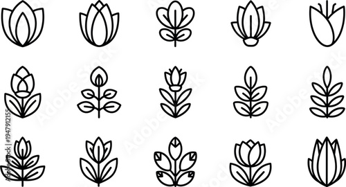 Black line of various lotus flowers and leaves 1