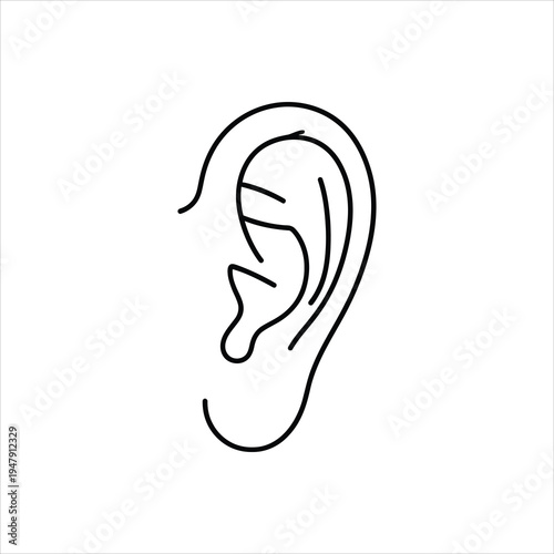 Human Ear Outline Drawing Hearing Organ Detail Medical Anatomy Illustration Isolated on white background