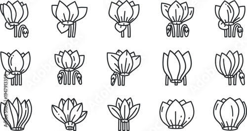 Black line of various lotus flowers black and white line floral 4 minimalist
