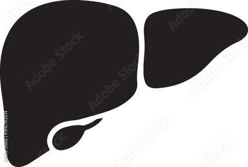 A black and white illustration of a human liver