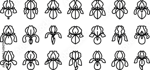 Black line of various orchid flowers line black and white floral botanical