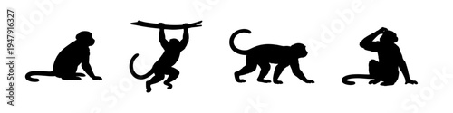 Monkey silhouettes in different poses on white background, black animal shapes set, minimal graphic illustration of primates in simple style