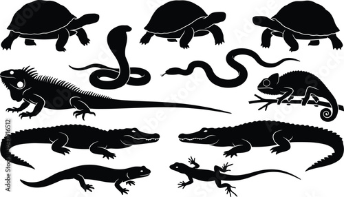 reptile silhouette black turtle snake cobra iguana chameleon alligator crocodile lizard gecko wildlife animal icon vector set collection outline graphic