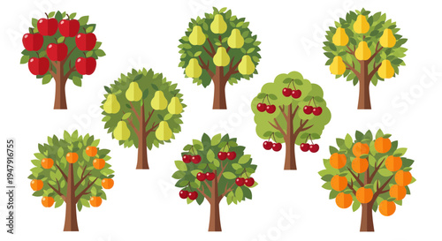 Assorted Fruit Trees: Apples, Pears, Cherries, Oranges - Flat Design