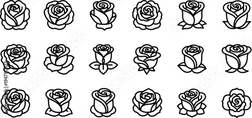 Black line of various rose roses line black and white floral flowers botanical