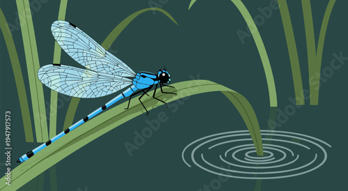 Detailed vector illustration of a bright blue dragonfly perched on a blade of grass near rippling water