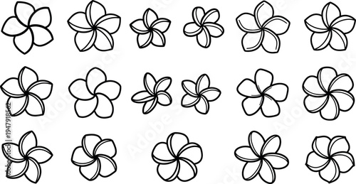 Black line of various sized plumeria flowers black and white line floral 1 tropical