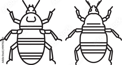 Stylized insect or bug icon, small creature symbol for biology or pest control vector, Black And White, Line Art