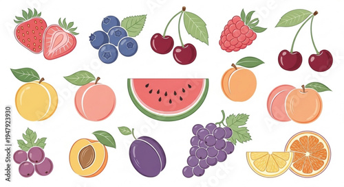 A colorful vector illustration of various fresh fruits on a white background